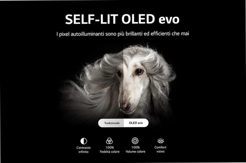 TV 42'' OLED evo LG HD