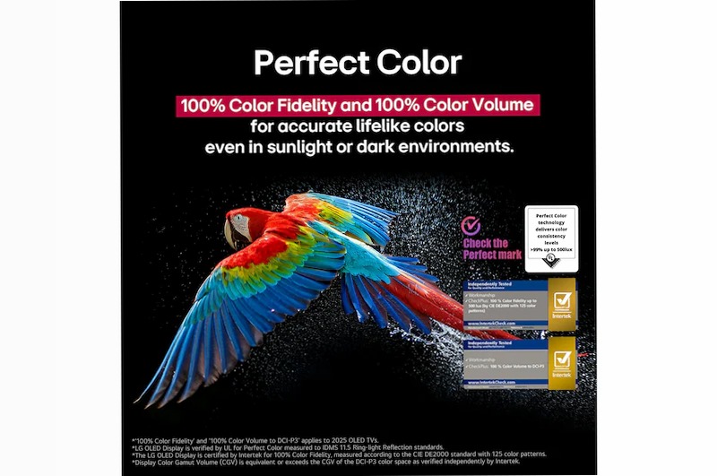 TV 55 pollici LG OLED AI B5 4K Smart TV 2025 - OLED55B56LA | LG Italia 55" HD