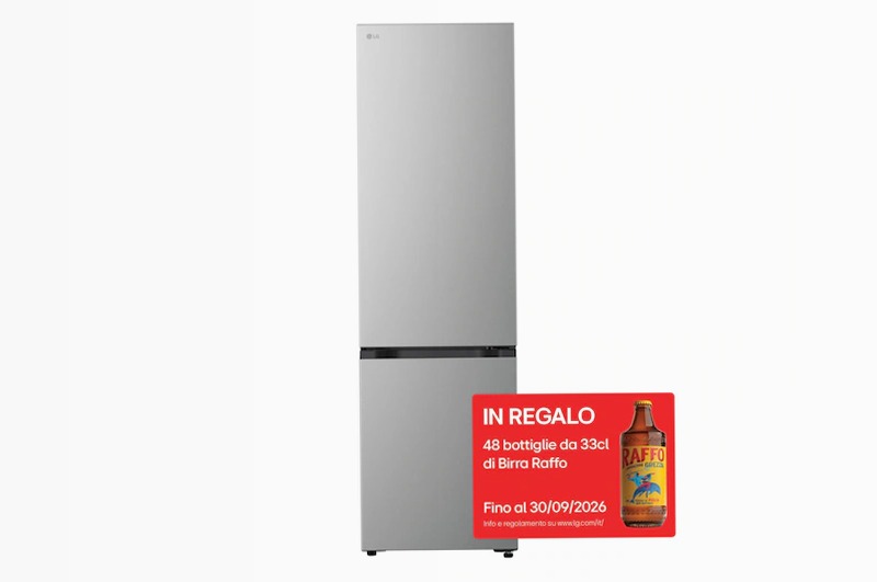 Frigorifero LG GBBS726CPY 70cm Classe C Argento Combinato 375lt