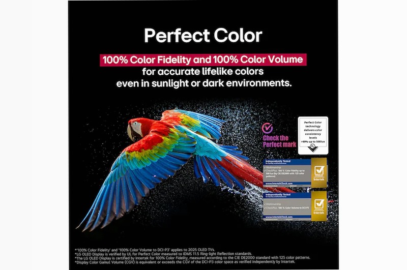 TV OLED C5 42 pollici LG Beige 42" 4K