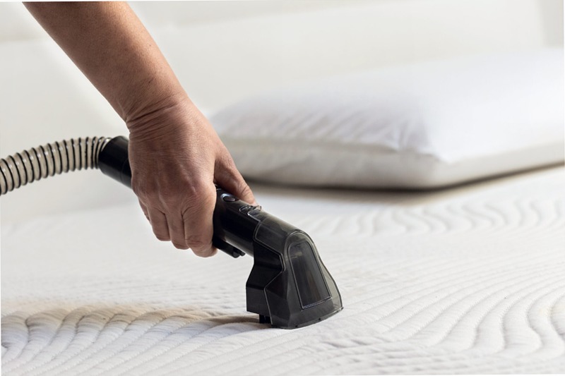 Pulitore per tappeti e tappezzerie Spot Cleaner Heat Pro 750w