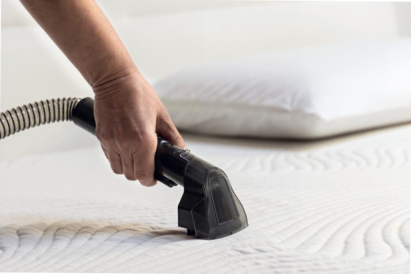 Pulitore per tappeti e tappezzerie Spot Cleaner Heat Pro 750w