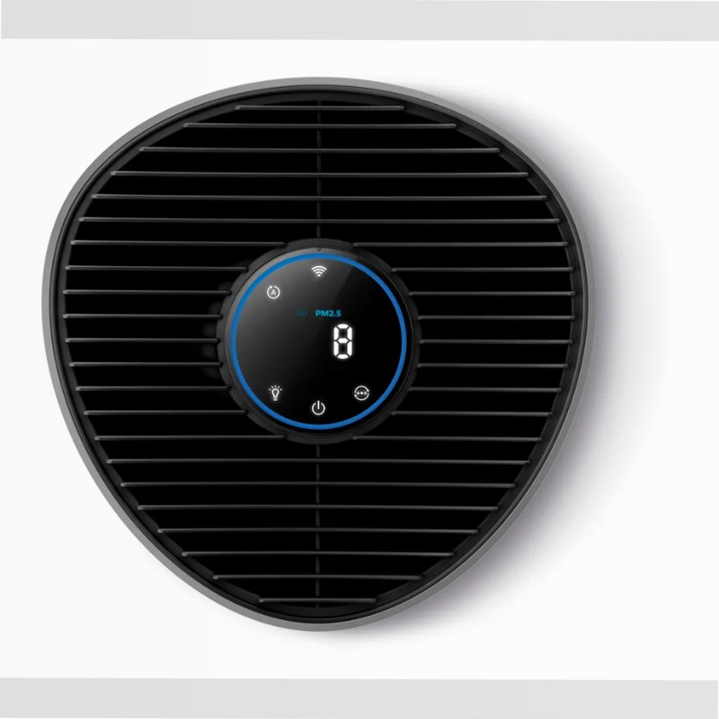 Purificatore d'aria Serie 1000i