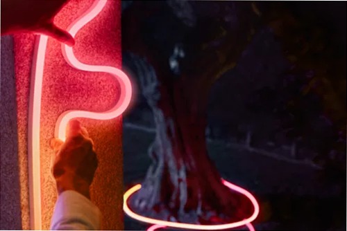 Striscia di luci neon da esterni 10 m 10mt