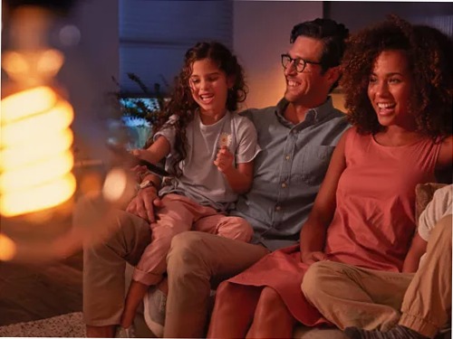 A60 - Lampadina LED connessa E27 A