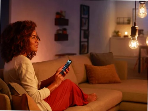 A60 - Lampadina LED connessa E27 A