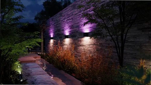 Lampada a Parete Dymera: Illumina la Tua Casa o Giardino interni Nero
