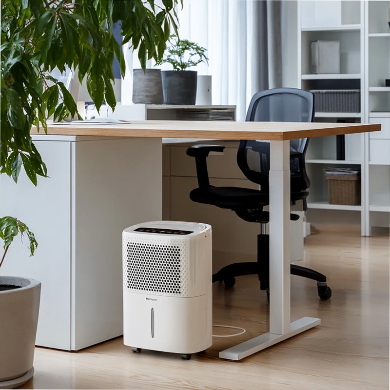 Deumidificatore Pro Breeze 12L