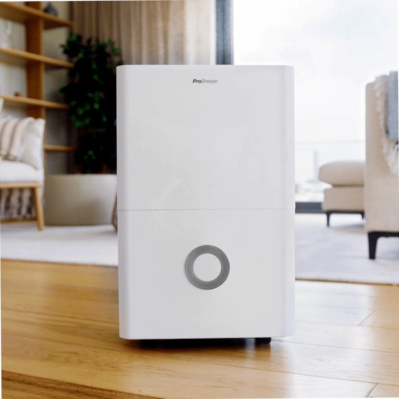 Deumidificatore 30L con controllo intelligente