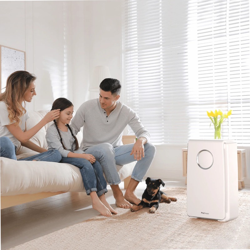 Purificatore d'aria 5 in 1 con filtro HEPA