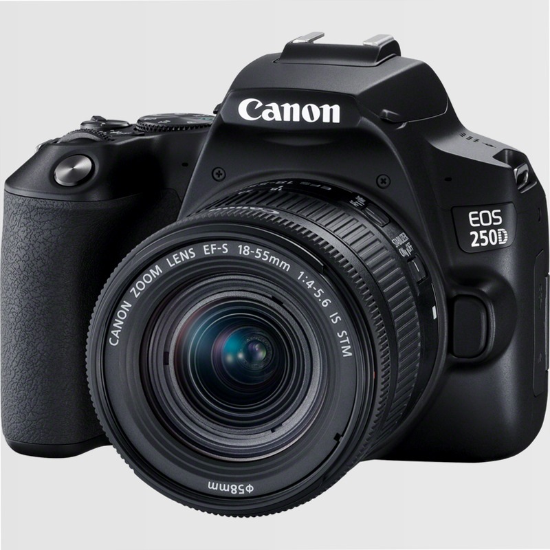 Fotocamera Canon EOS 250D + Obiettivo EF-S 18-55mm + Batteria di Ricambio