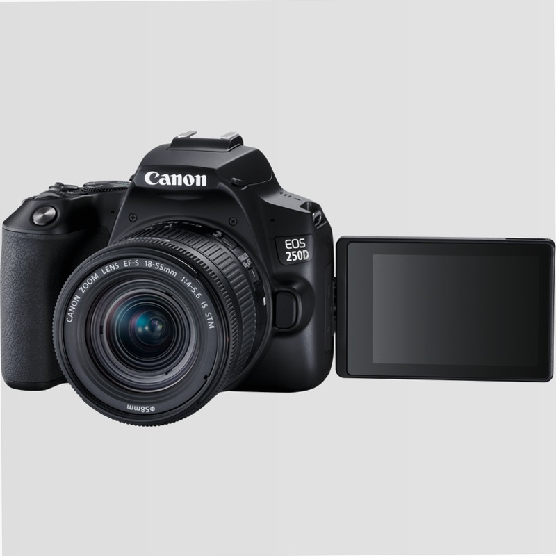 Fotocamera Canon EOS 250D + Obiettivo EF-S 18-55mm + Batteria di Ricambio