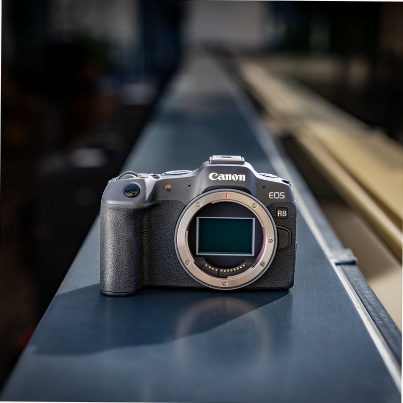 Fotocamera Mirrorless Canon EOS R8 + Obiettivo RF 24-50mm F4.5-6.3 IS STM