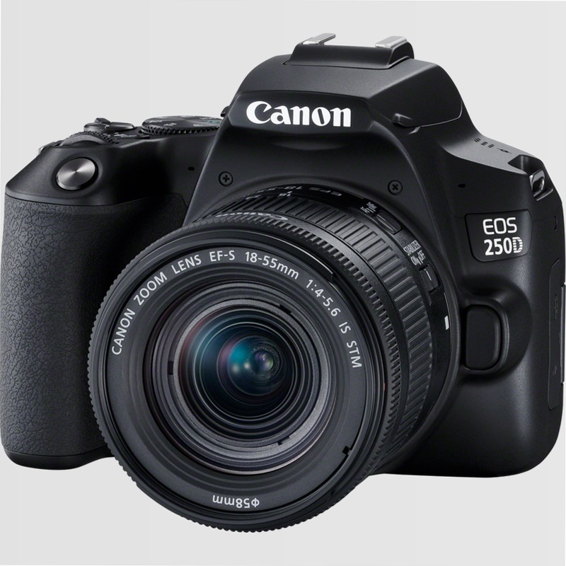 Fotocamera Canon EOS 250D + Obiettivo EF-S 18-55mm
