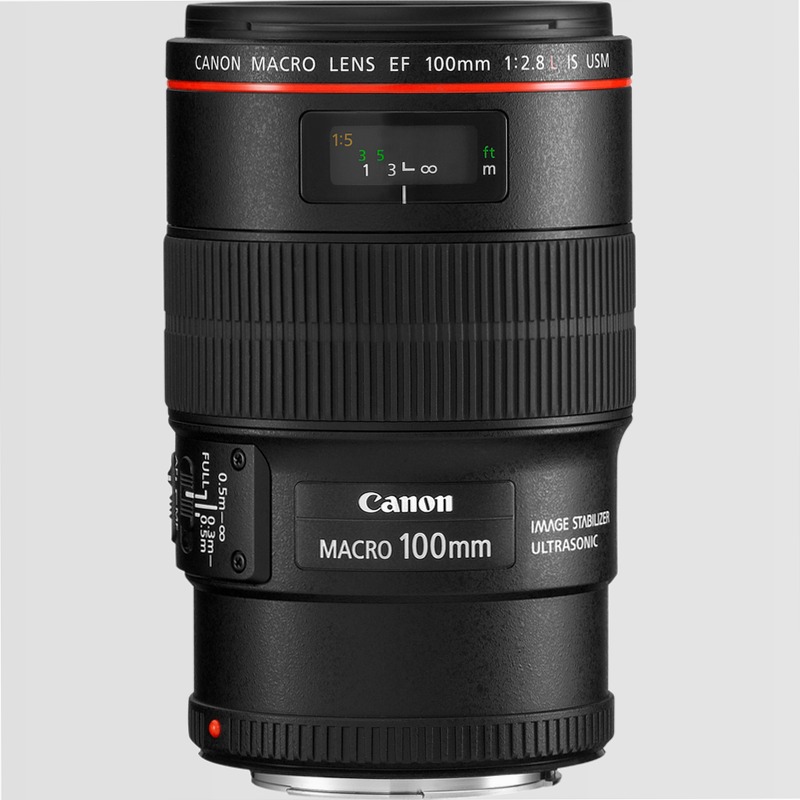 Obiettivo Canon EF 100mm f/2.8L Macro IS USM