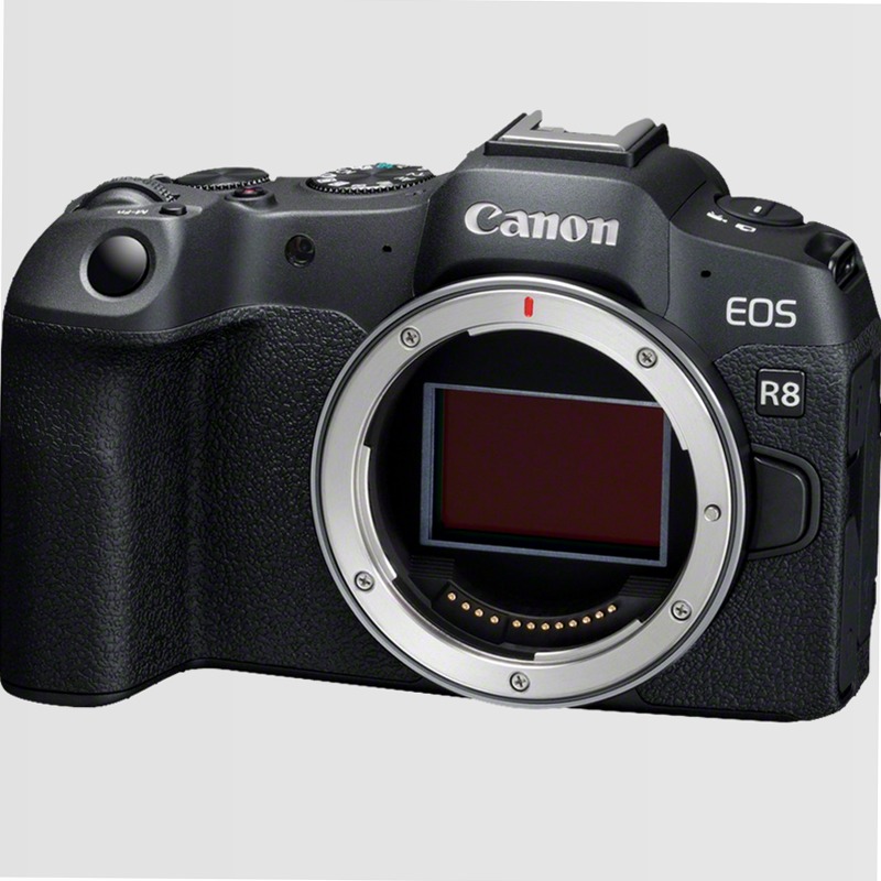 Corpo Canon EOS R8 + Batteria di Ricambio
