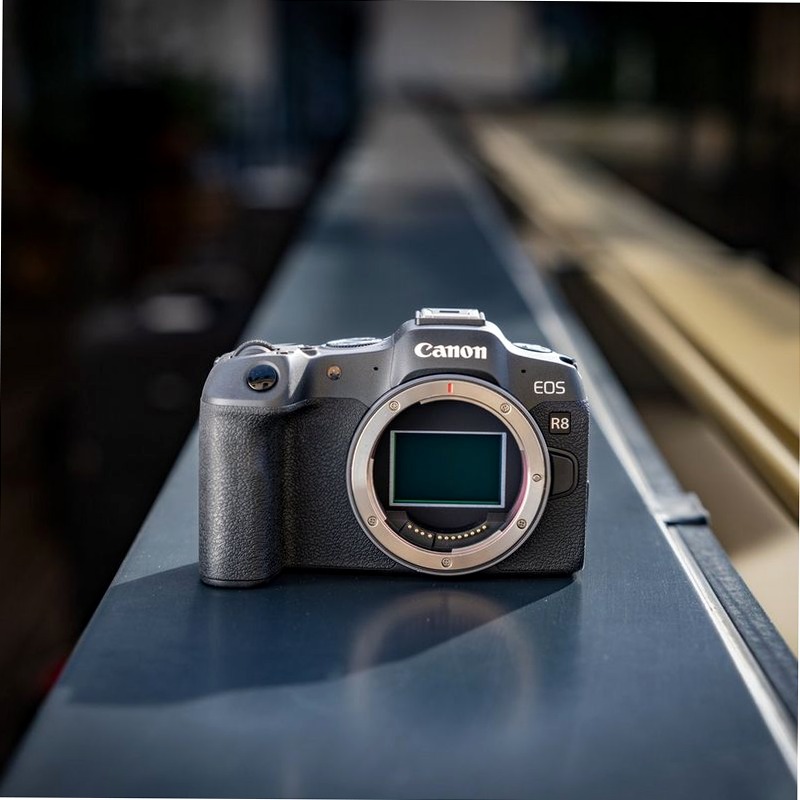 Corpo Canon EOS R8 + Batteria di Ricambio