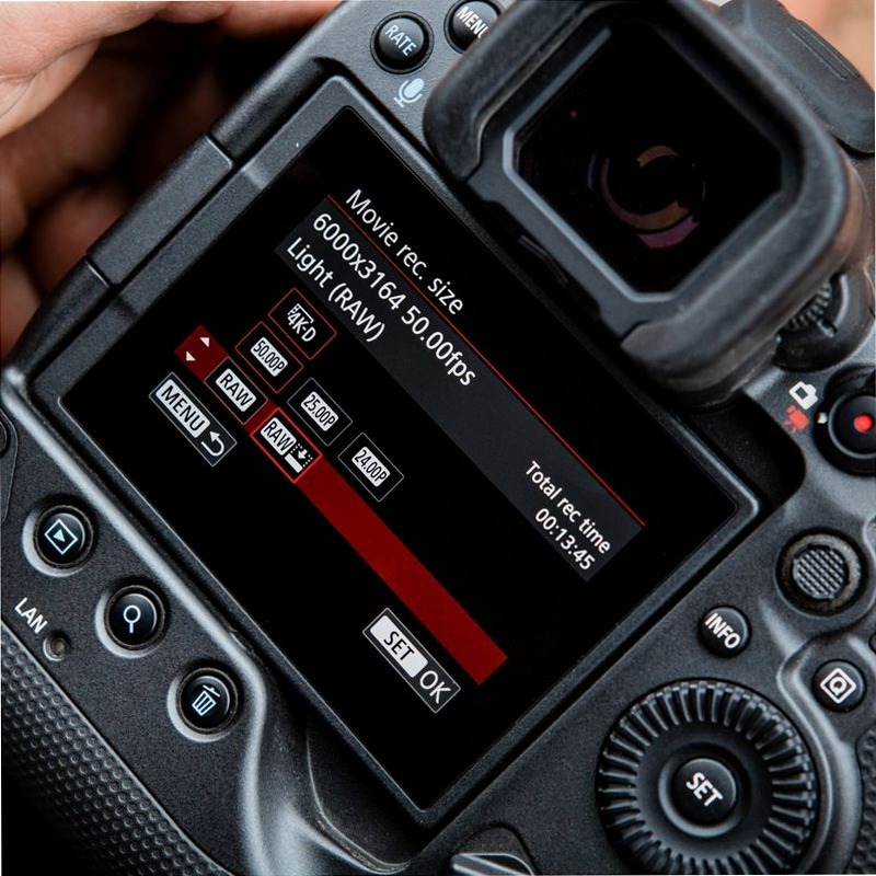 Canon EOS R3 Mirrorless: Fotografia Sportiva e Naturalistica Mirrorless