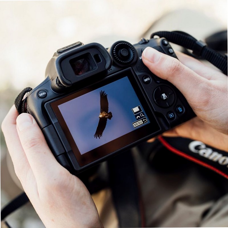 Canon EOS R7 Mirrorless - Prodotto Ricondizionato 7f/