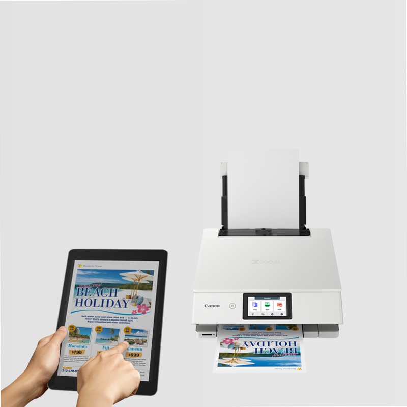 Canon PIXMA TS8751 - Stampante fotografica multifunzione Cartucce 15ppm