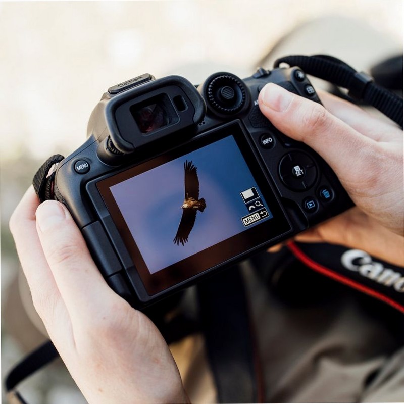 Fotocamera Mirrorless Canon EOS R7 + Obiettivi RF-S