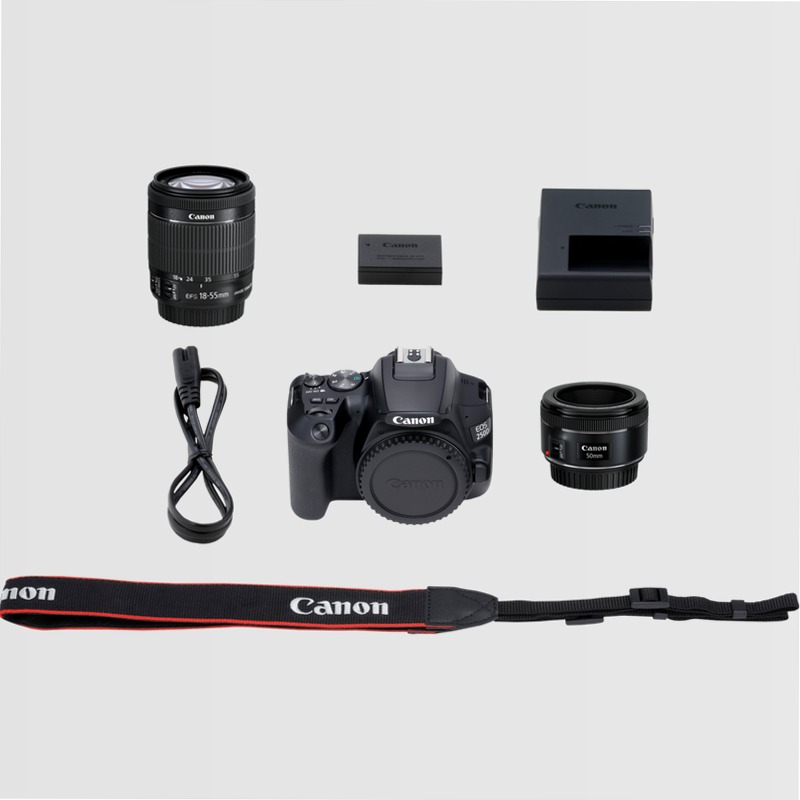 Canon EOS 250D + Obiettivo EF-S 18-55mm F4-5.6 IS STM + 50mm F1.8 STM 5.6f/