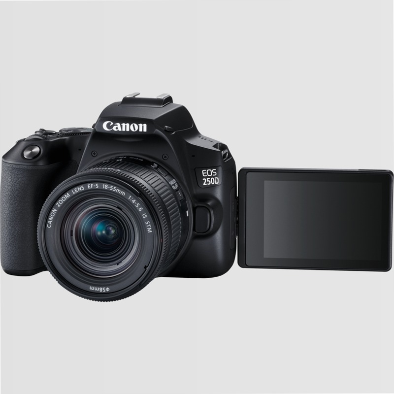 Canon EOS 250D + Obiettivo EF-S 18-55mm F4-5.6 IS STM + 50mm F1.8 STM 5.6f/
