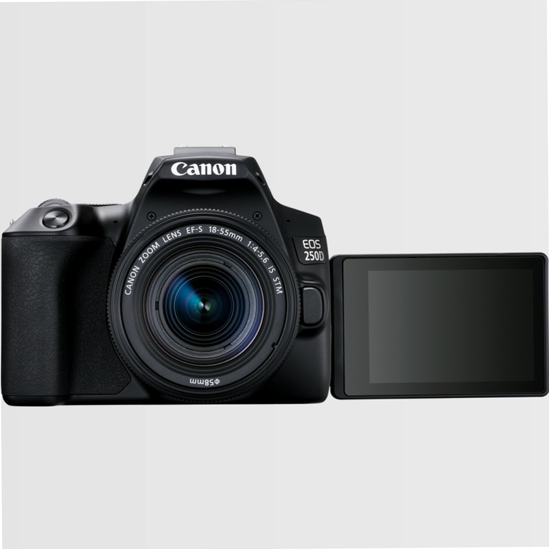 Canon EOS 250D + Obiettivo EF-S 18-55mm F4-5.6 IS STM + 50mm F1.8 STM 5.6f/