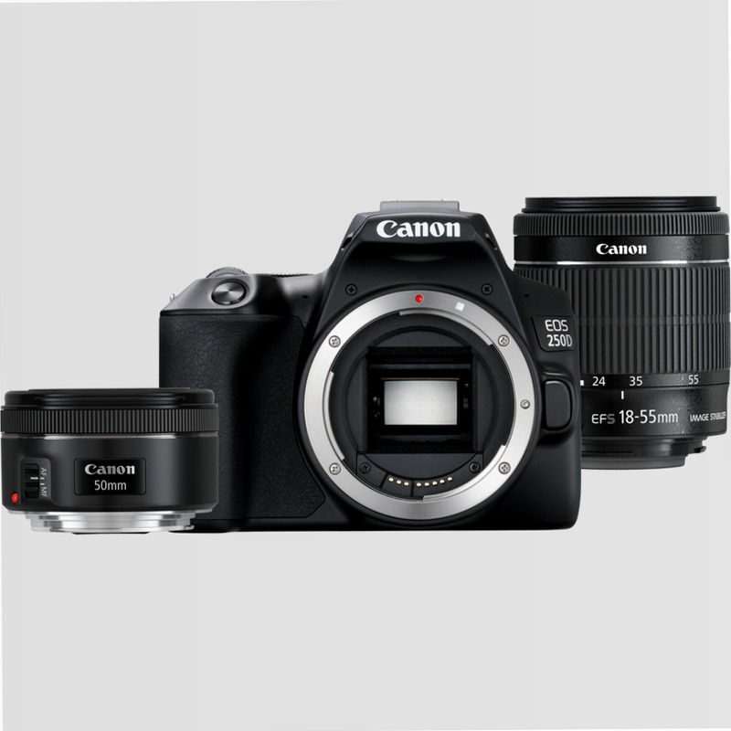 Canon EOS 250D + Obiettivo EF-S 18-55mm F4-5.6 IS STM + 50mm F1.8 STM 5.6f/