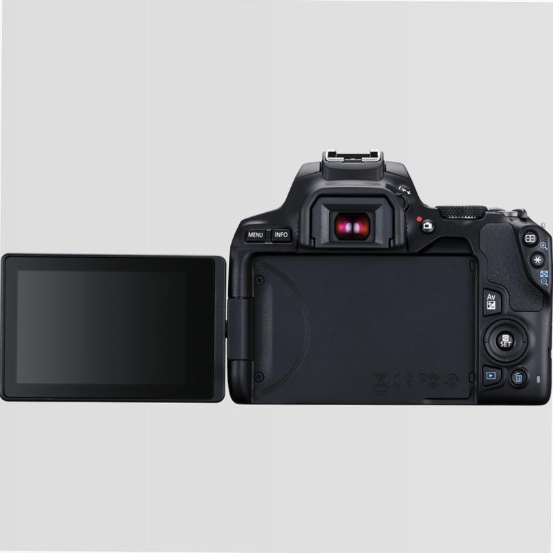 Canon EOS 250D + Obiettivo EF-S 18-55mm F4-5.6 IS STM + 50mm F1.8 STM 5.6f/