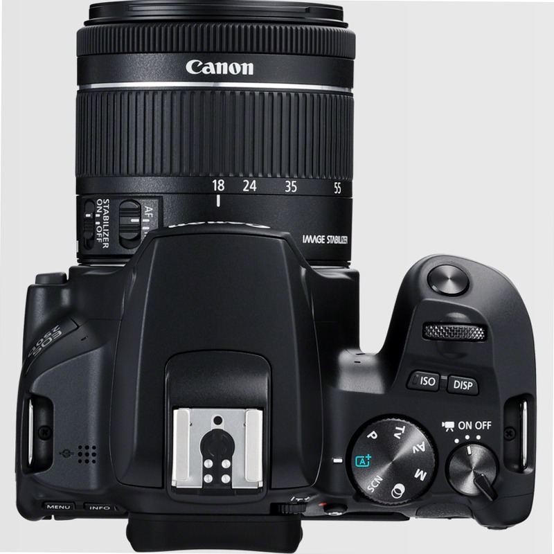Canon EOS 250D + Obiettivo EF-S 18-55mm F4-5.6 IS STM + 50mm F1.8 STM 5.6f/