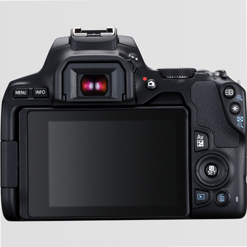 Canon EOS 250D + Obiettivo EF-S 18-55mm F4-5.6 IS STM + 50mm F1.8 STM 5.6f/