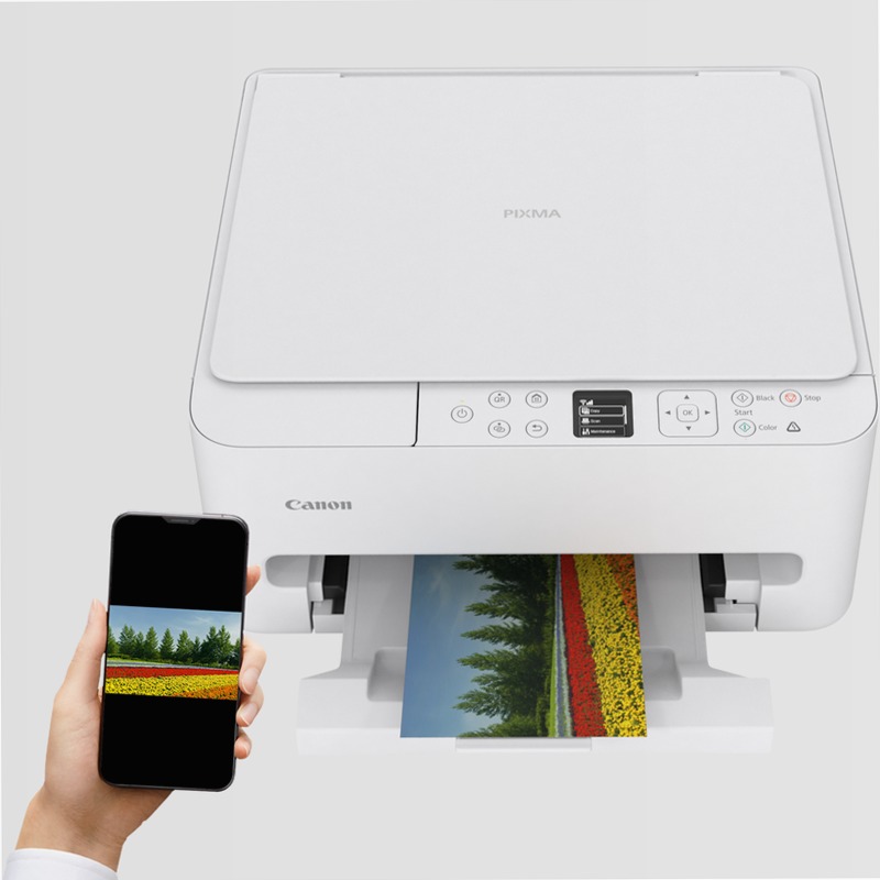 Canon PIXMA TS6550i: Stampante fotografica multifunzione 100fogli Cartucce 14ppm