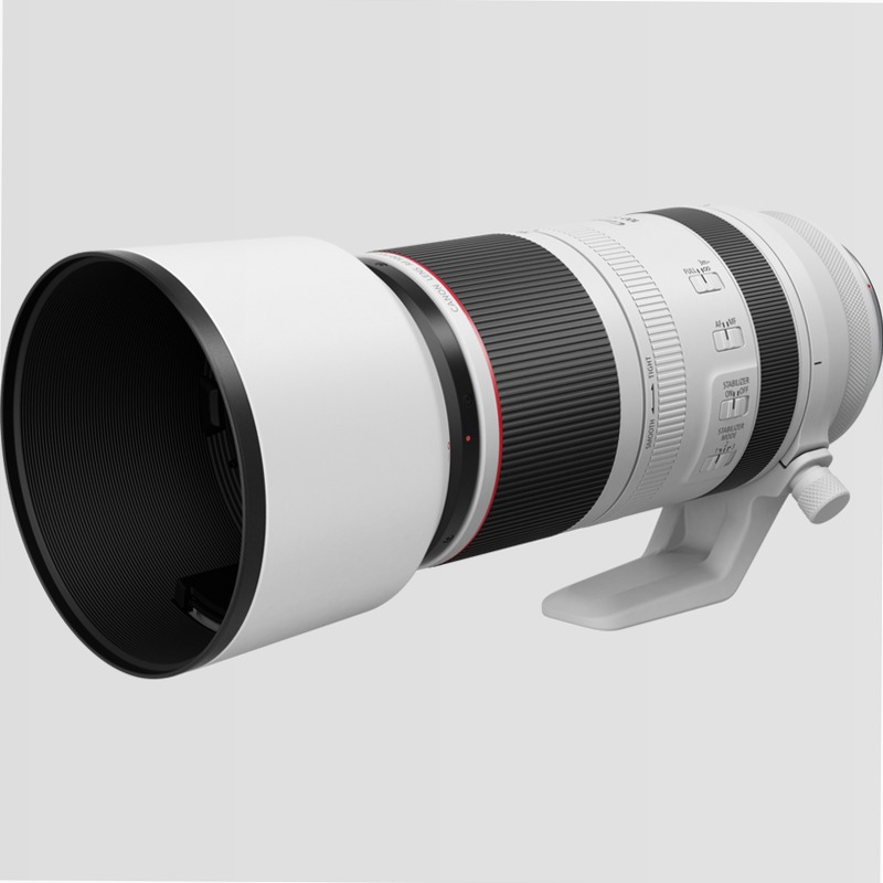 Obiettivo Canon RF 100-500mm F4.5-7.1L IS USM Teleobiettivo