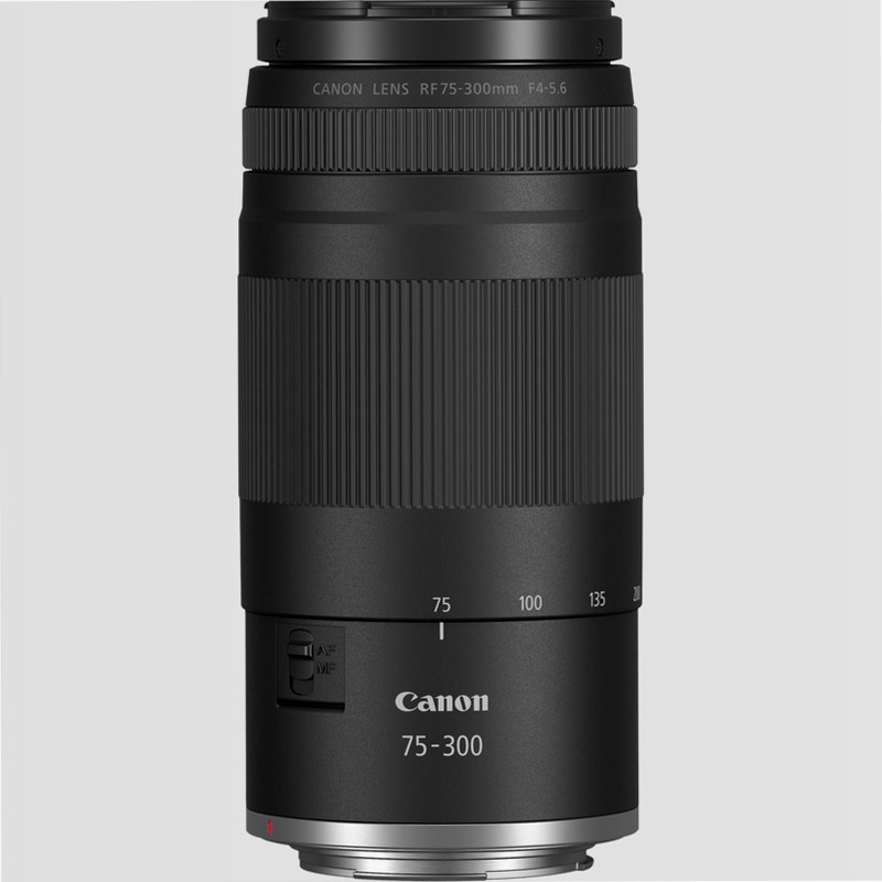 Canon EOS R100 - Fotocamera Mirrorless per Inizianti