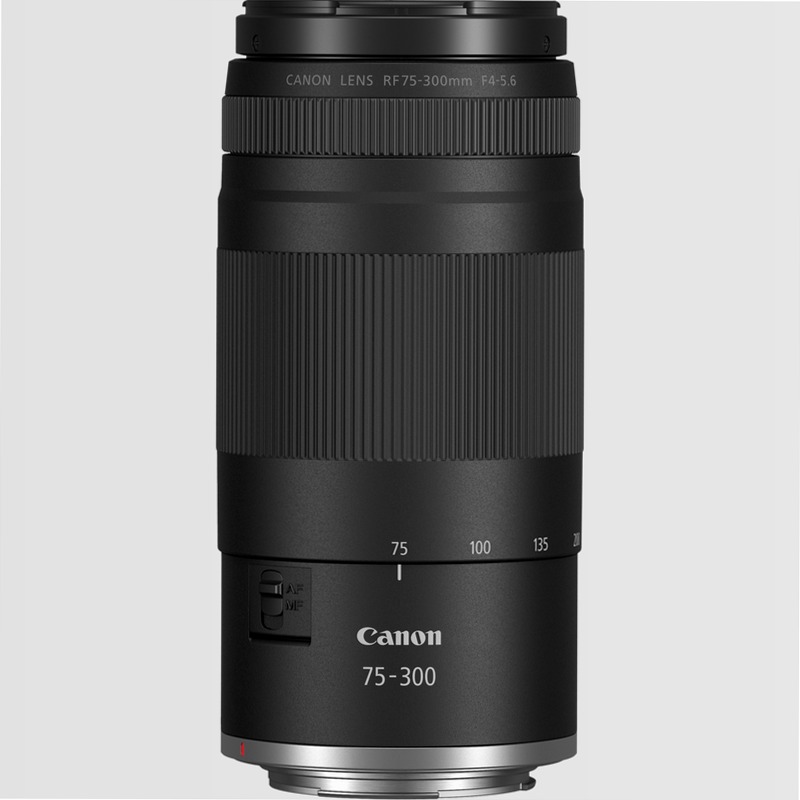Fotocamera Mirrorless Canon EOS R100 + Obiettivi