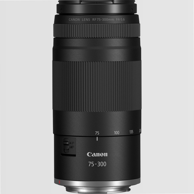 Fotocamera Mirrorless Canon EOS R50 + Obiettivi