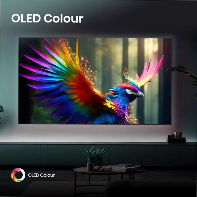 Hisense TV SET 65A8DQ HSN - Smart TV OLED Grigio 65" HD