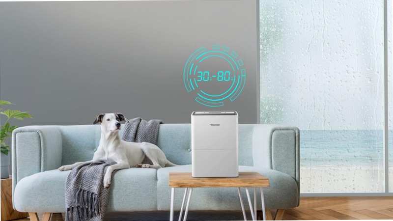 Hisense DEHUMIDIFIER D12HW HSN