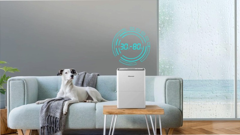 Hisense D12HW - Deumidificatore per casa
