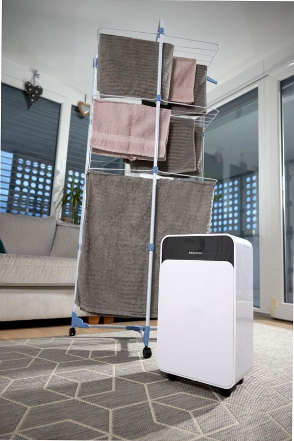Deumidificatore Hisense D16CW Bianco