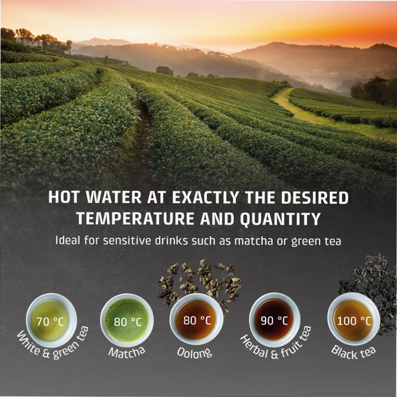 CASO Design HW 616 Turbo Dispenser ad acqua calda Acciaio