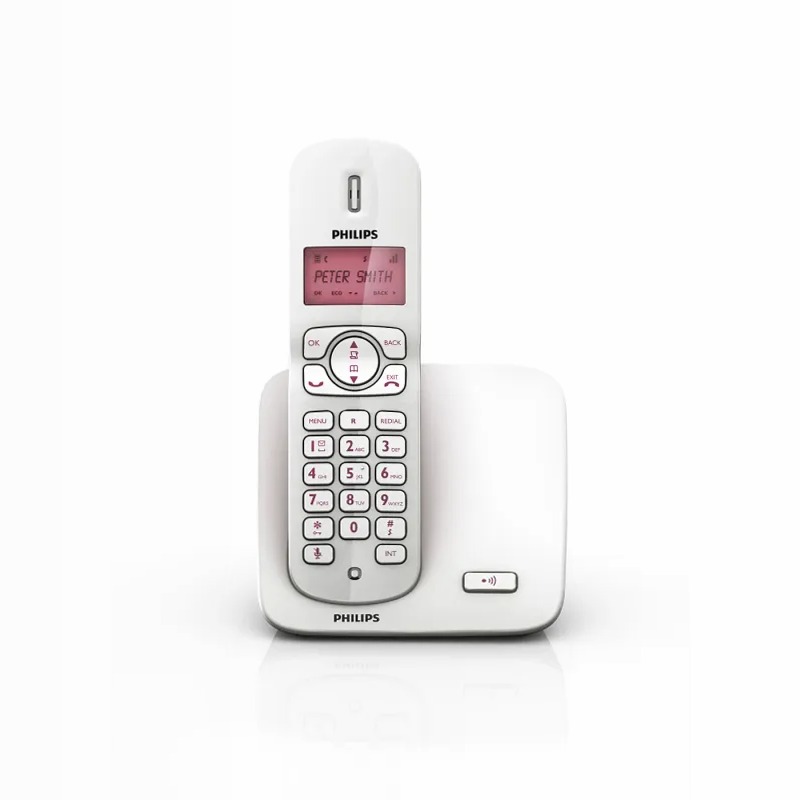 Perfect sound CD1701P/38 | Philips