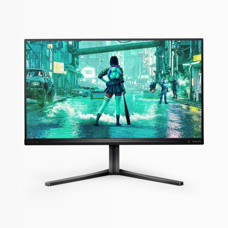 Monitor Fast IPS Gaming 25 pollici Antracite