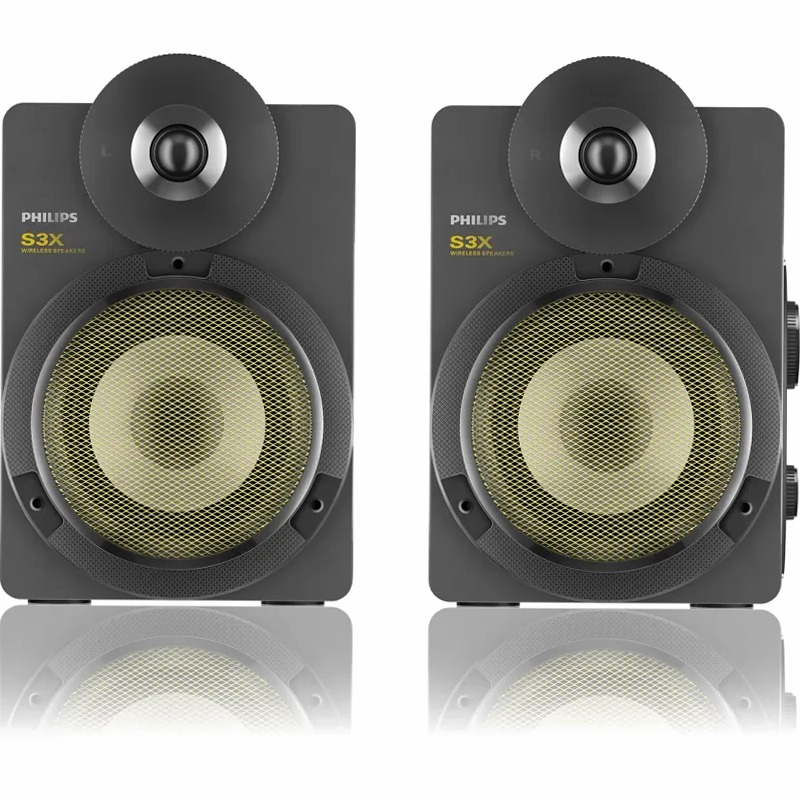 Altoparlanti professionali BTS3000G/10 Philips 30w