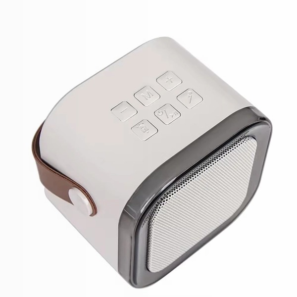 AKBT24 Karaoke Party Speaker Portatile 5w