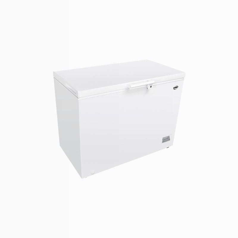 Congelatore a Pozzo | 287 Litri | Classe F | Controllo Elettronico | Winter Security Bianco 287lt