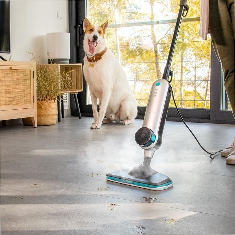HydroSteam 3030 Blaze