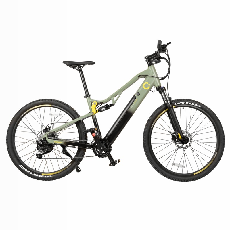 Bicicletta eléctrica Flexy