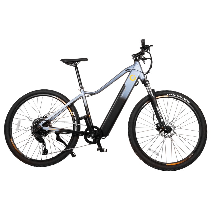 Bicicletta eléctrica Flexy